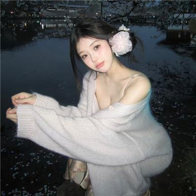 空中飞鸟