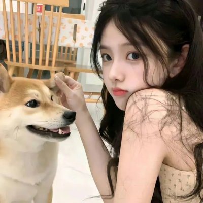 爱飞翔